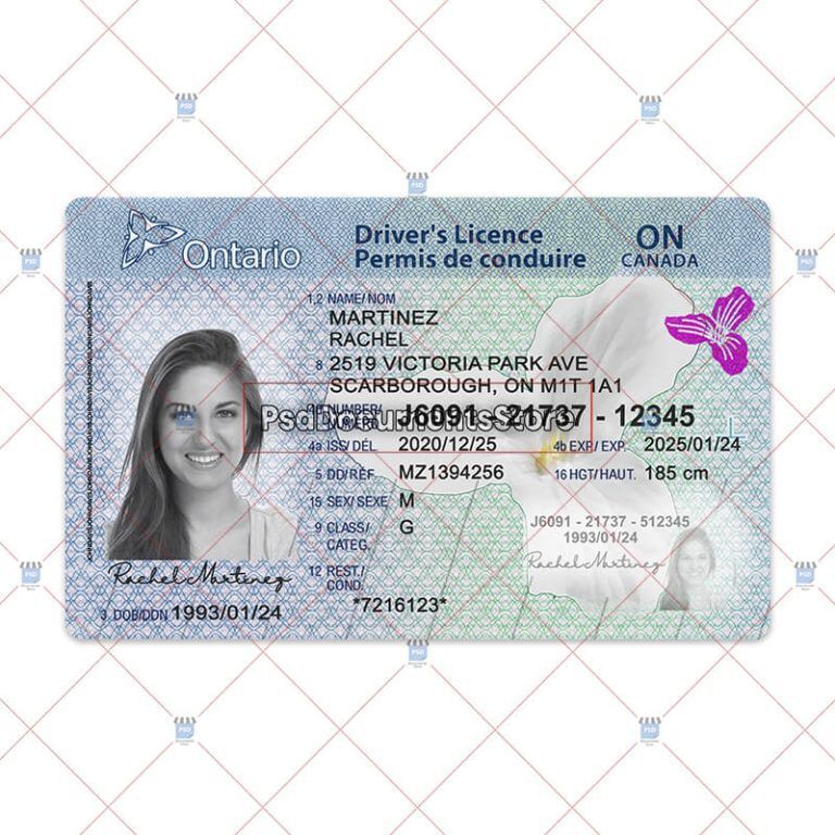 Ontario Driver License Psd Template Psd Doc Store