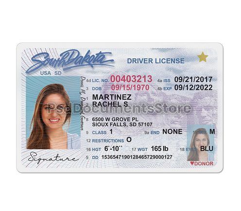 South Dakota Driver's License PSD Template - PSD Documents Store