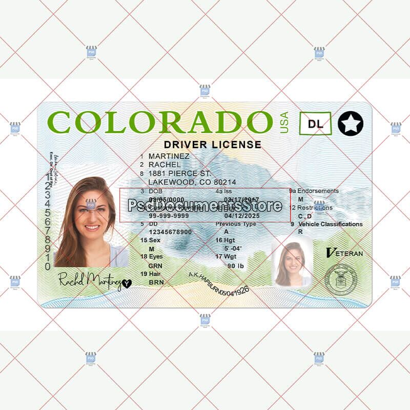 Colorado Driver #39 s License Template PSD Doc Store