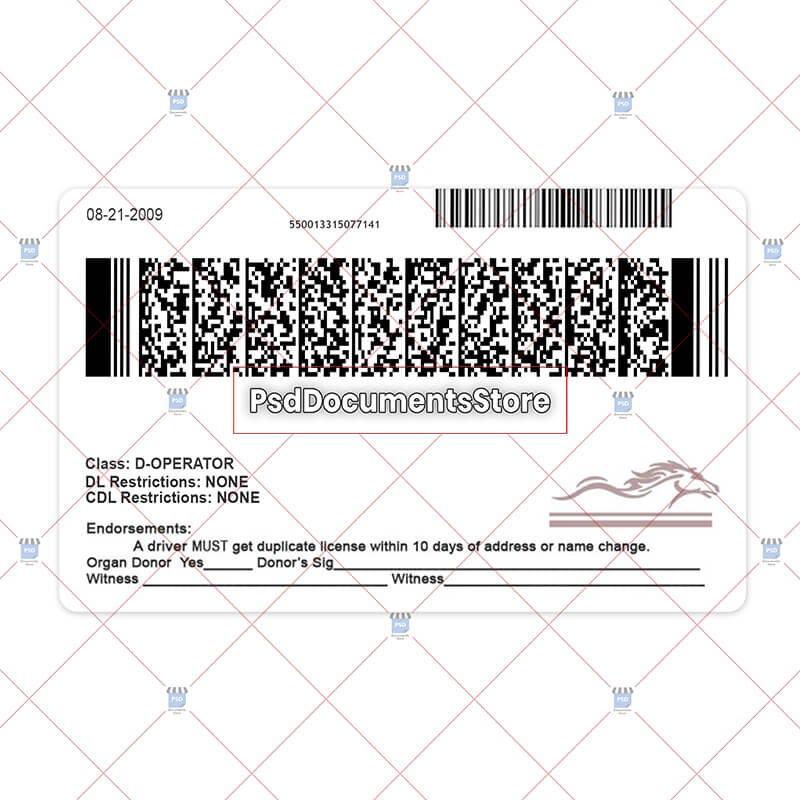 Kentucky driver's license template - PSD Doc Store