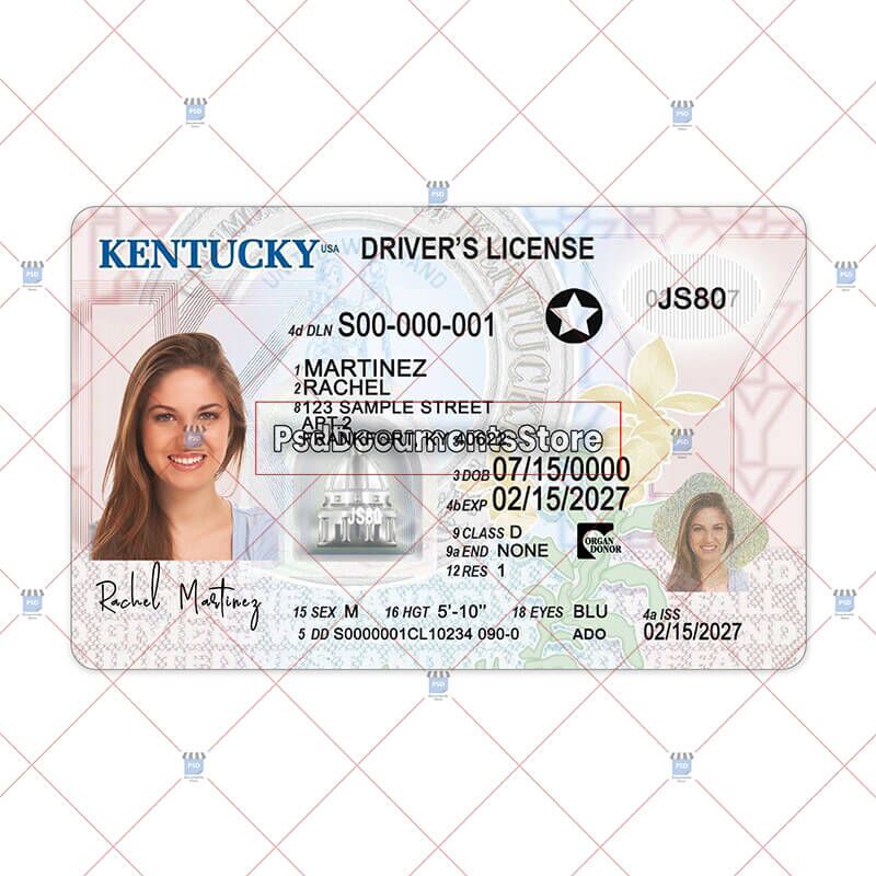 travel driver's license ky