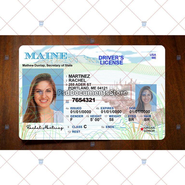 Maine driver license template Photoshop