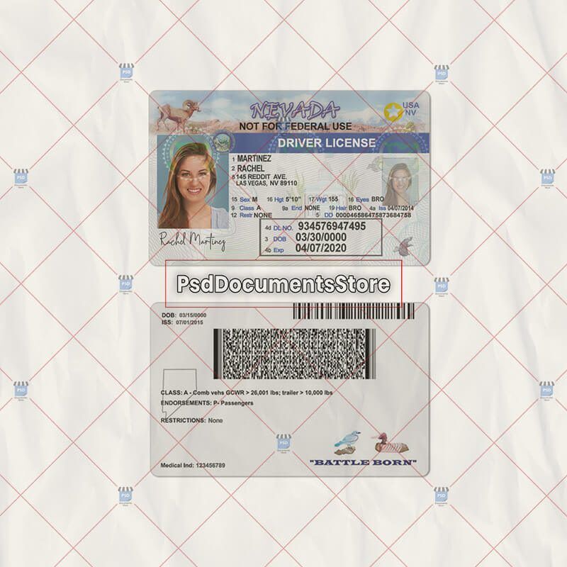 Nevada Driver License PSD Template - PSD Doc Store