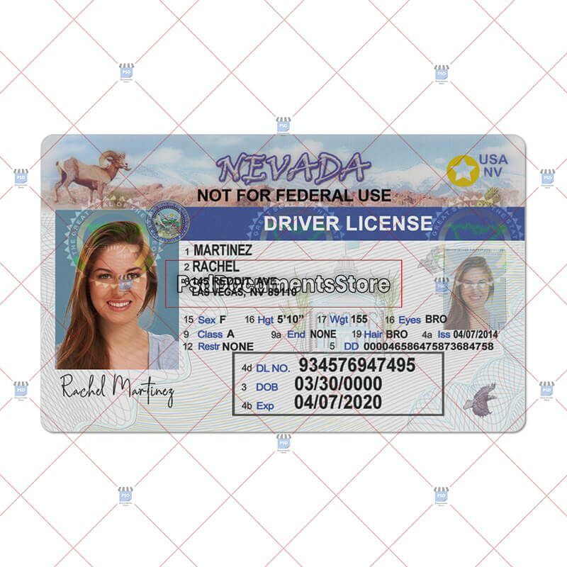 Nevada Driver License PSD Template - PSD Doc Store