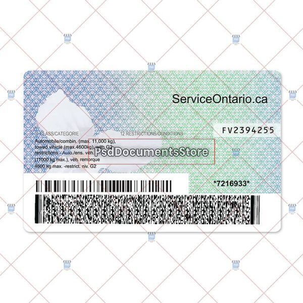 Ontario Driver License PSD Template - PSD Doc Store