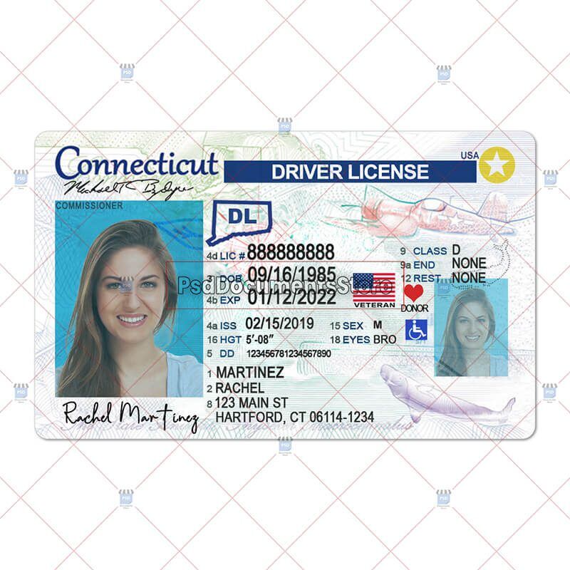 Connecticut Driver License PSD Template - PSD Documents Store